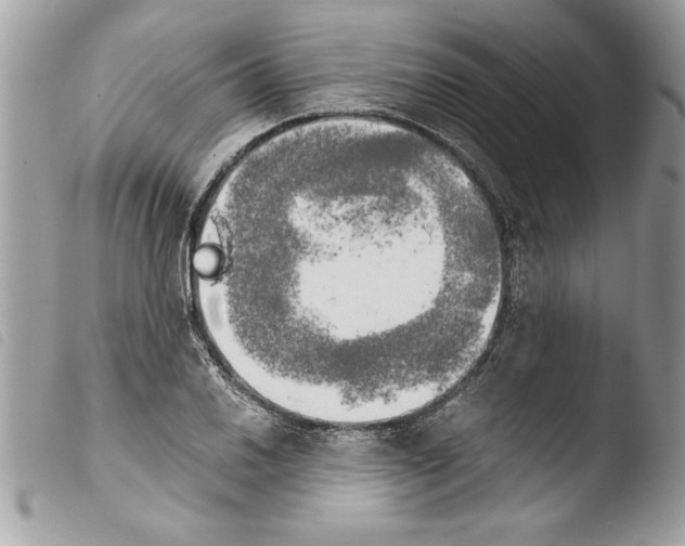 X0000103901030200810171609