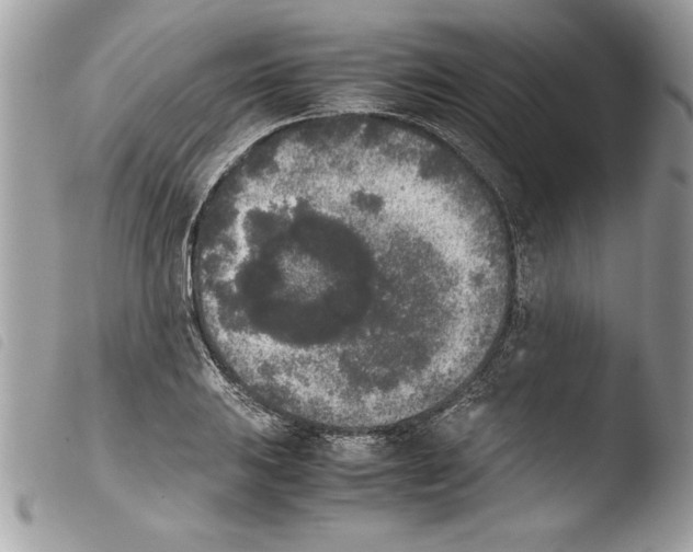 X0000103901031200810171609