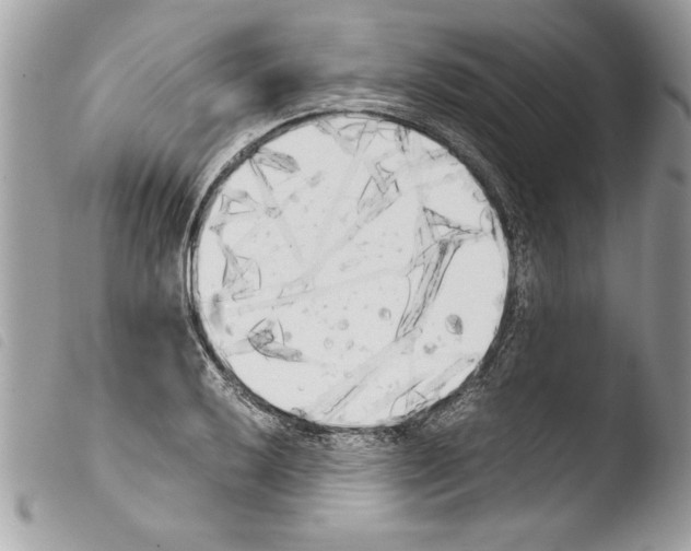 X0000103901032200810171609