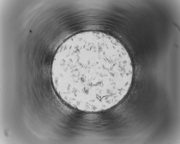 X0000103901033200810171609