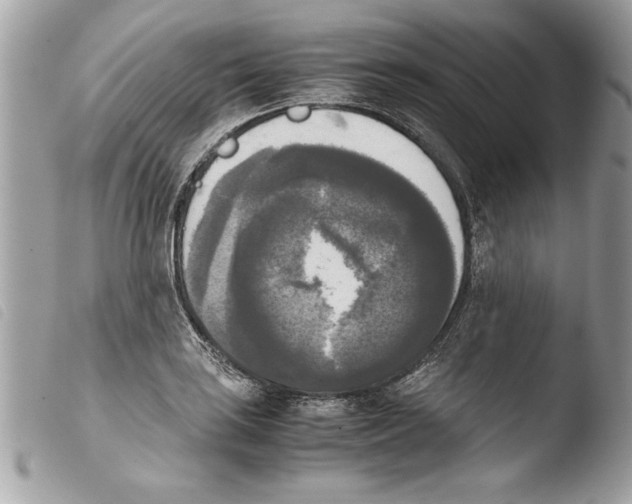 X0000103901035200810171609