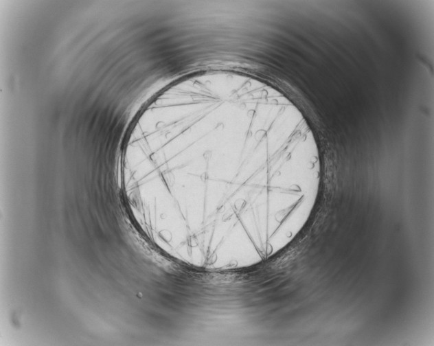 X0000103901036200810171609