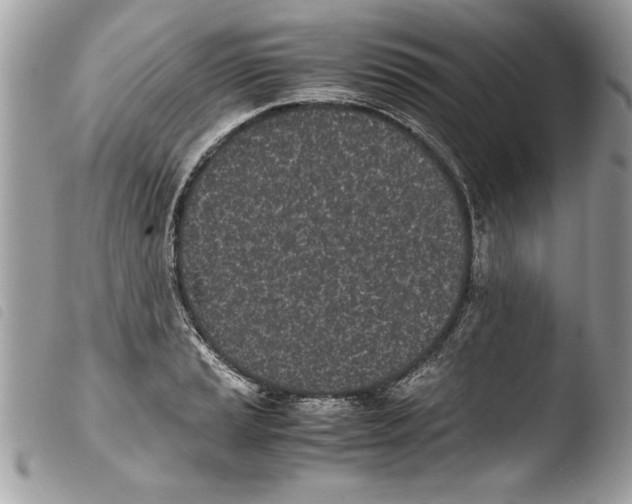 X0000103901037200810171609