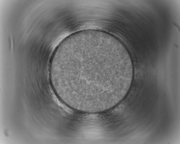 X0000103901038200810171609