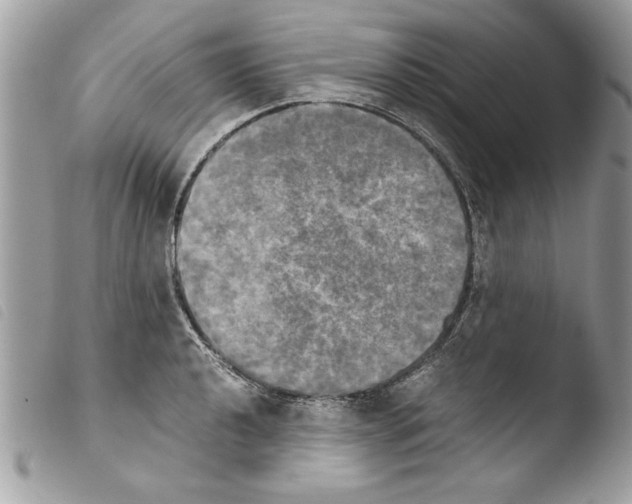 X0000103901040200810171609