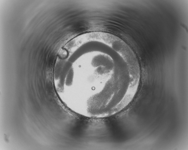 X0000103901041200810171609