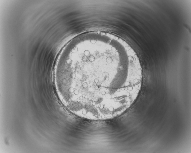 X0000103901044200810171609