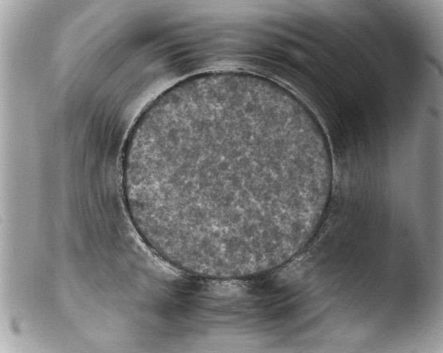 X0000103901045200810171609