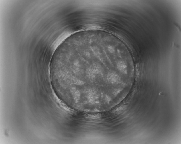 X0000103901047200810171609