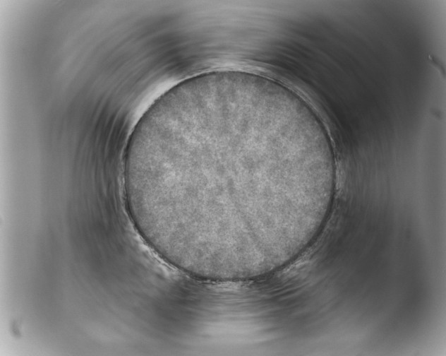 X0000103901048200810171609