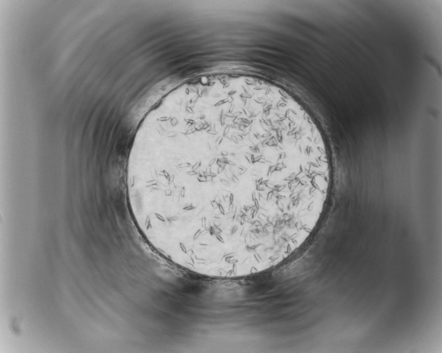 X0000103901049200810171609