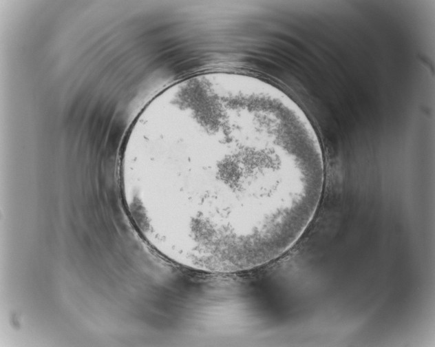 X0000103901050200810171609