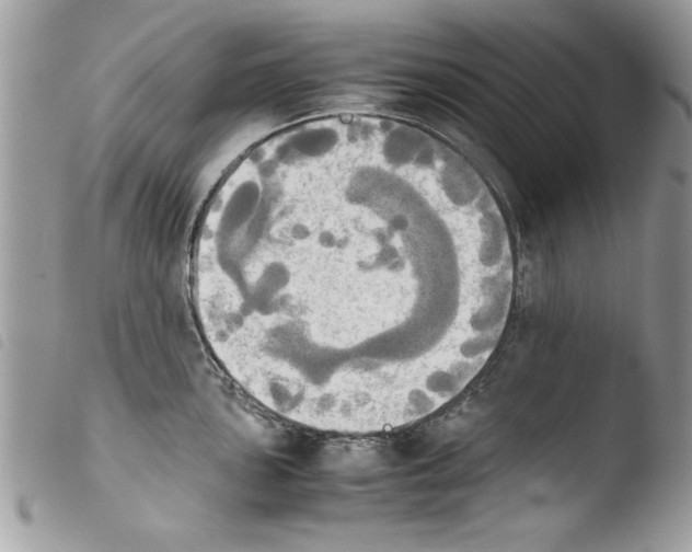 X0000103901051200810171609