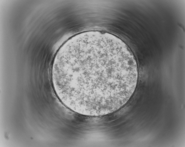 X0000103901054200810171609