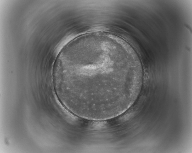 X0000103901055200810171609