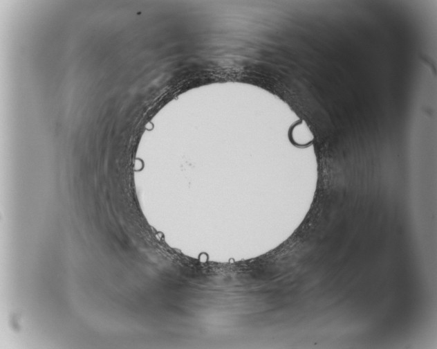 X0000103901057200810171609