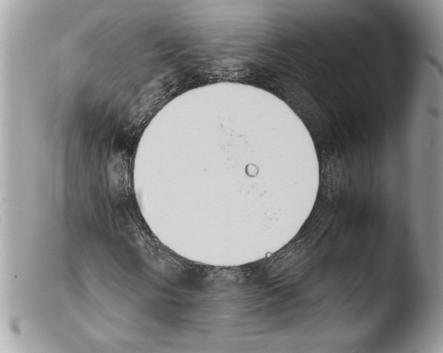 X0000103901058200810171609