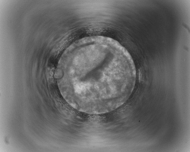 X0000103901059200810171609