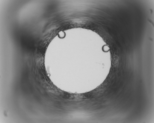 X0000103901061200810171608