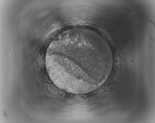 X0000103901063200810171608