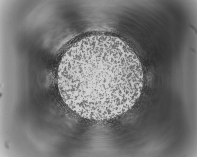 X0000103901064200810171608