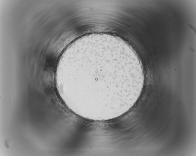 X0000103901065200810171608