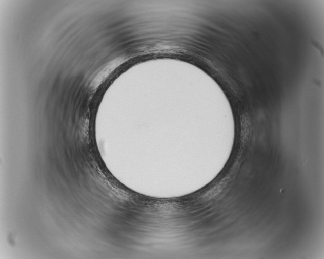 X0000103901066200810171608