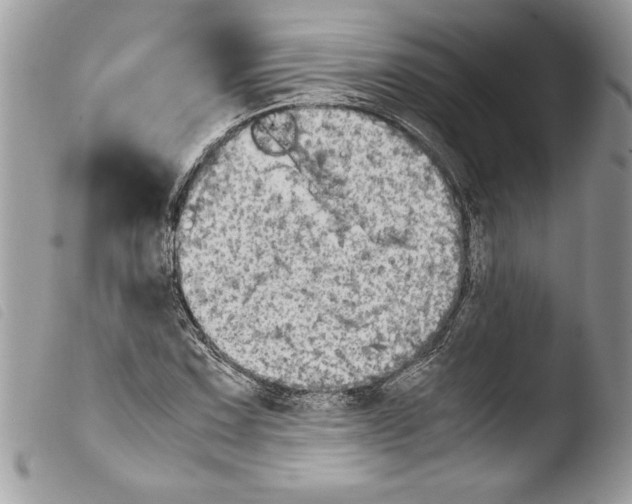 X0000103901067200810171608