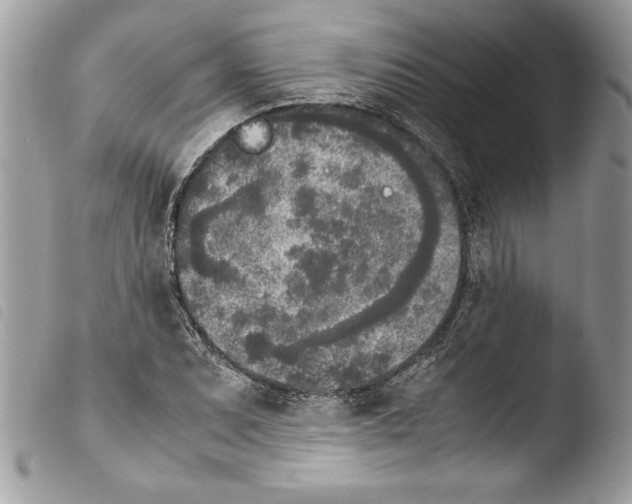 X0000103901071200810171608