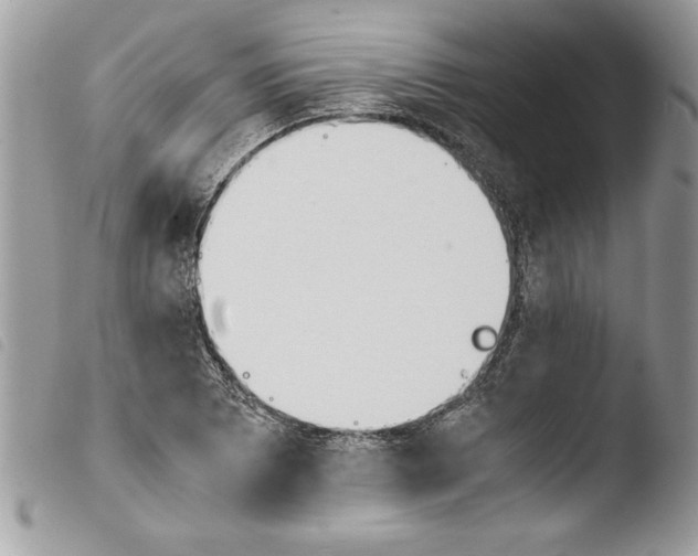 X0000103901073200810171608