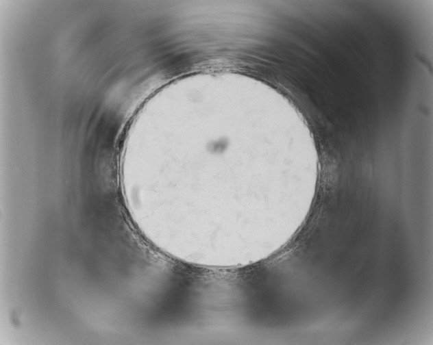 X0000103901075200810171608