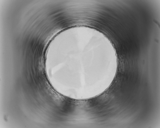 X0000103901076200810171608