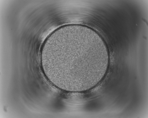 X0000103901077200810171608