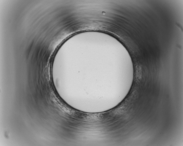 X0000103901078200810171608