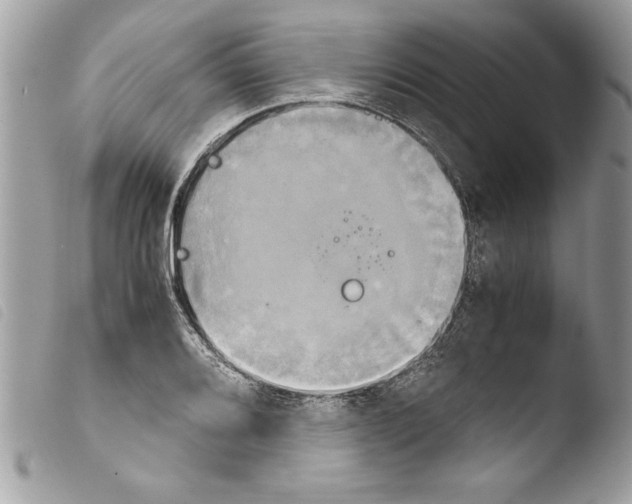 X0000103901080200810171608