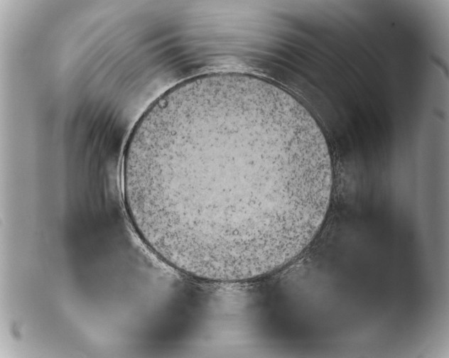 X0000103901084200810171608