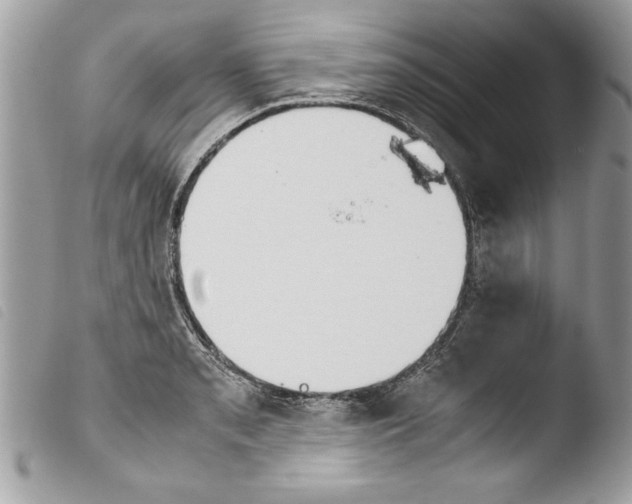 X0000103901085200810171608