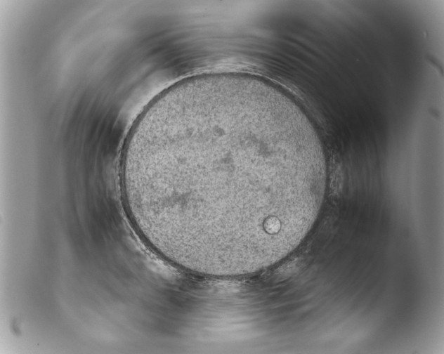 X0000103901086200810171608