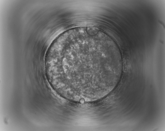 X0000103901087200810171608