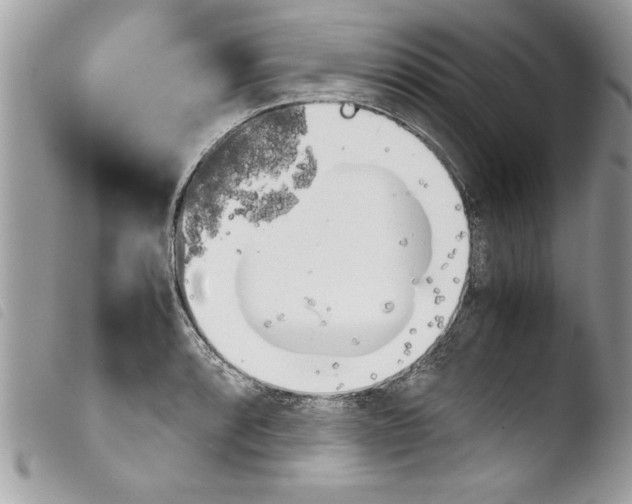 X0000103901088200810171608