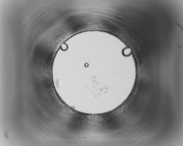 X0000103901089200810171608