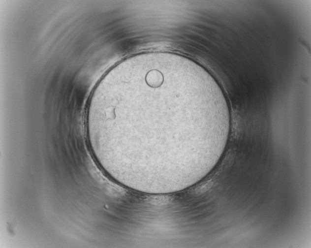 X0000103901090200810171608