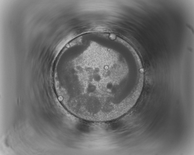 X0000103901091200810171608