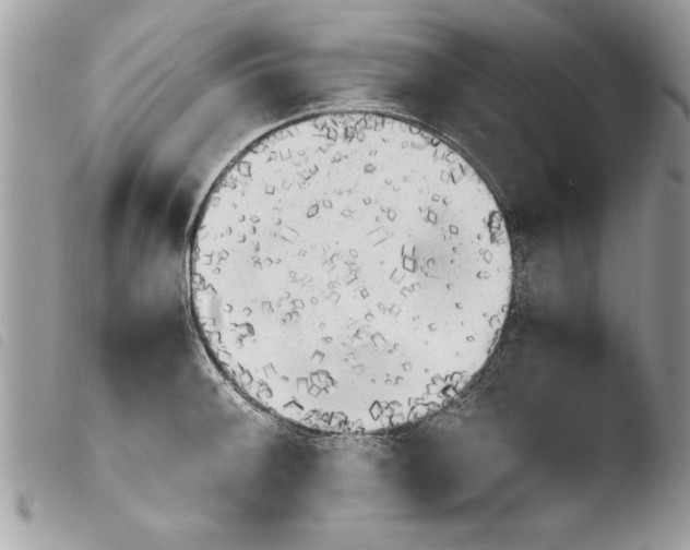 X0000103901092200810171608