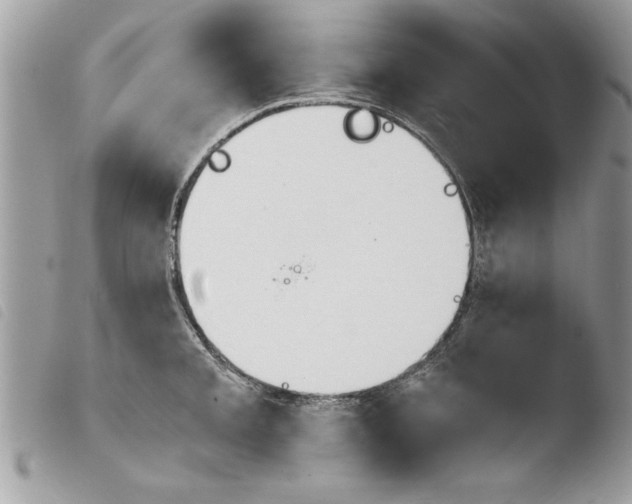 X0000103901093200810171608