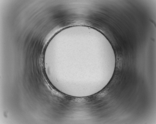 X0000103901094200810171608