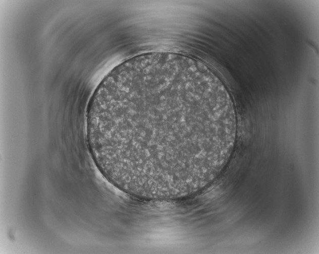 X0000103901095200810171608