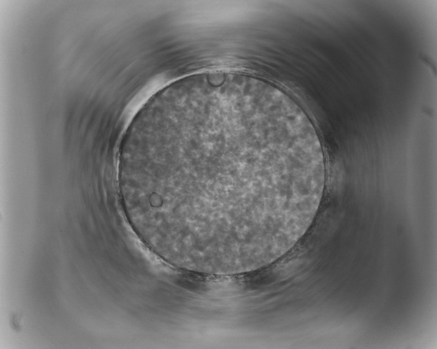 X0000103901099200810171608