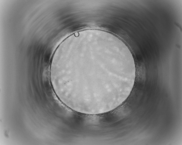 X0000103901100200810171608