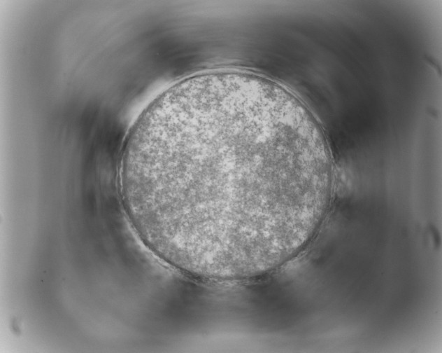 X0000103901101200810171608